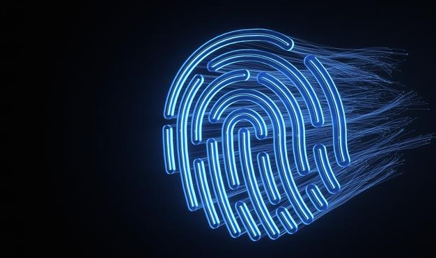 指纹浏览器可以保护用户隐私安全吗？