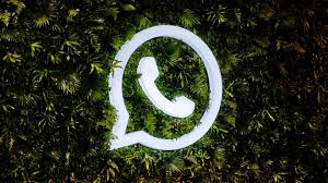 whatsapp注册养号使用攻略