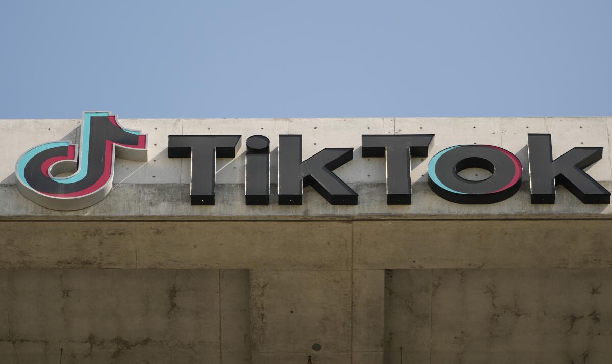 TikTok群控矩阵系统如何实现批量账号管理？