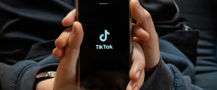 TikTok群控矩阵系统如何实现批量养号？