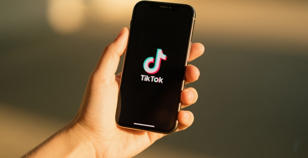tiktok国际版网页版如何登录？